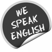 gallery/240_f_39090472_08vc3z2i2pa9olwjfbwnukrrlsardog4